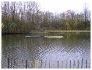 Island in final location. &copy;V&nbsp;Greenwood