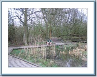 David clearing the boardwalk which he helped to lay two years ago. &copy;VG