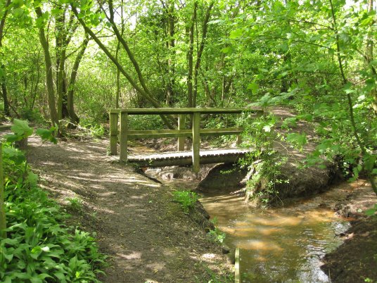 Bridge on new entrance trail. &copy;V Greenwood